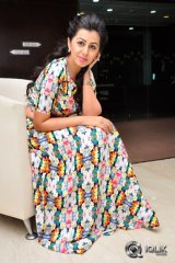 Nikki Galrani at Krishnastami Movie Success Meet